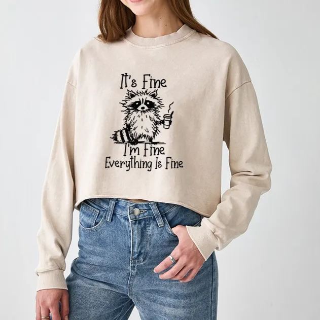 Magmoo Raccoon Fine Meme Washed Crop Sweatshirt