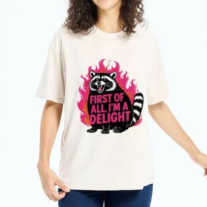 Magmoo Angry Raccoon Funny Washed T-Shirt