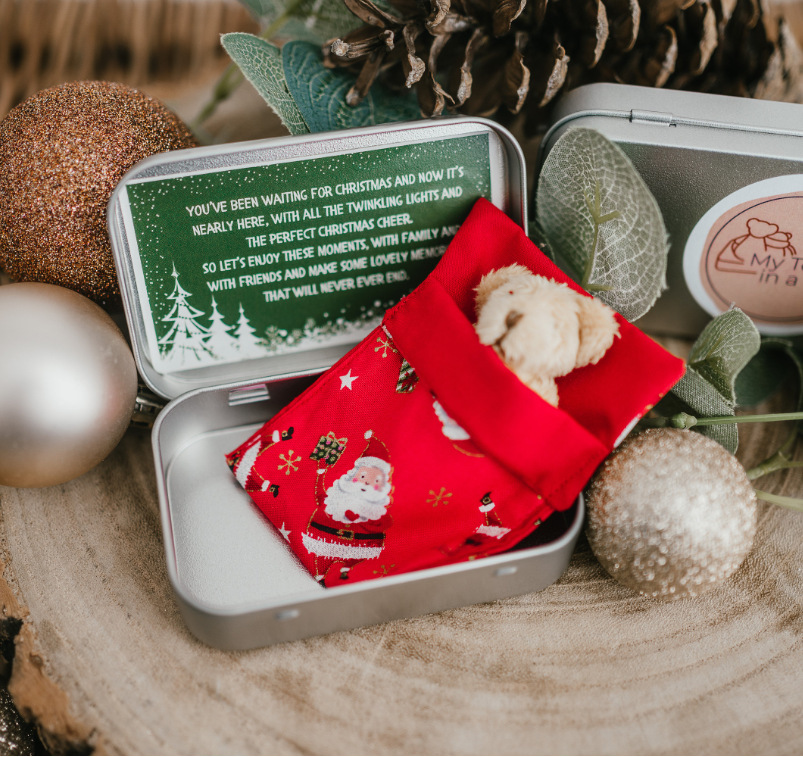 CHRISTMAS Teddy Bear