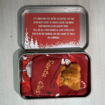 CHRISTMAS Teddy Bear