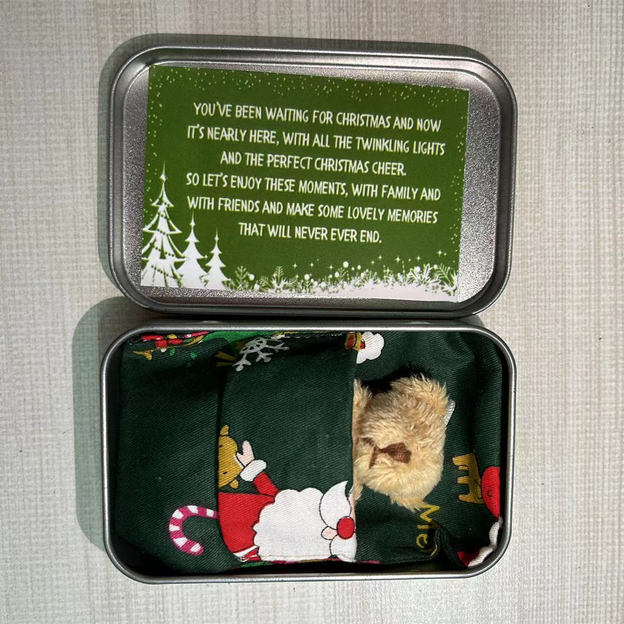 CHRISTMAS Teddy Bear