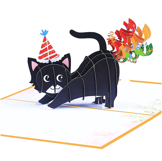 Funny Cat 3D Pop Card