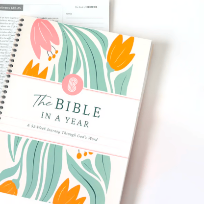 🔥LAST DAY 49% OFF -🙏🏼The Bible In A Year: A 52-Week Journey Through God's Word(✨Soft cover)
