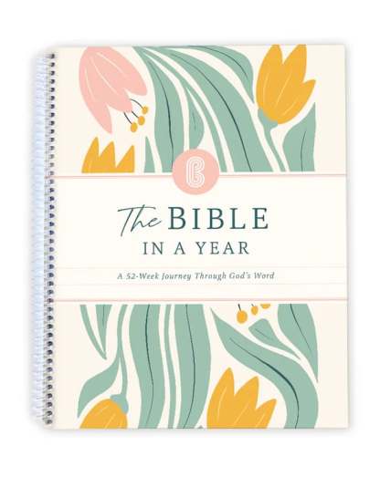 🔥LAST DAY 49% OFF -🙏🏼The Bible In A Year: A 52-Week Journey Through God's Word(✨Soft cover)