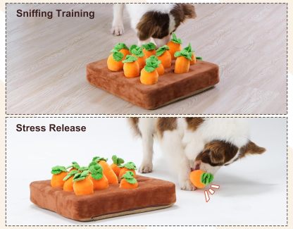 Interactive Dog Toys