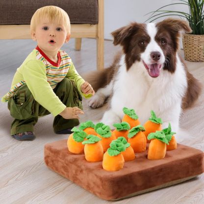 Interactive Dog Toys