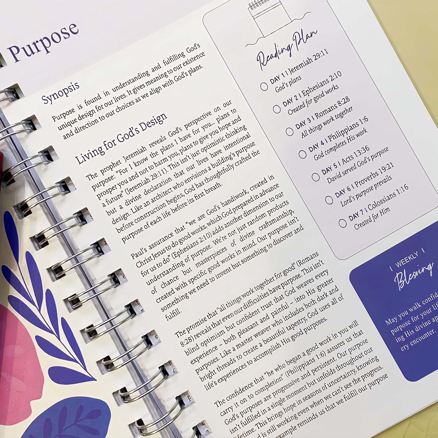 🔥LAST DAY 49% OFF -🙏🏼The Bible In A Year: A 52-Week Journey Through God's Word(✨Soft cover)