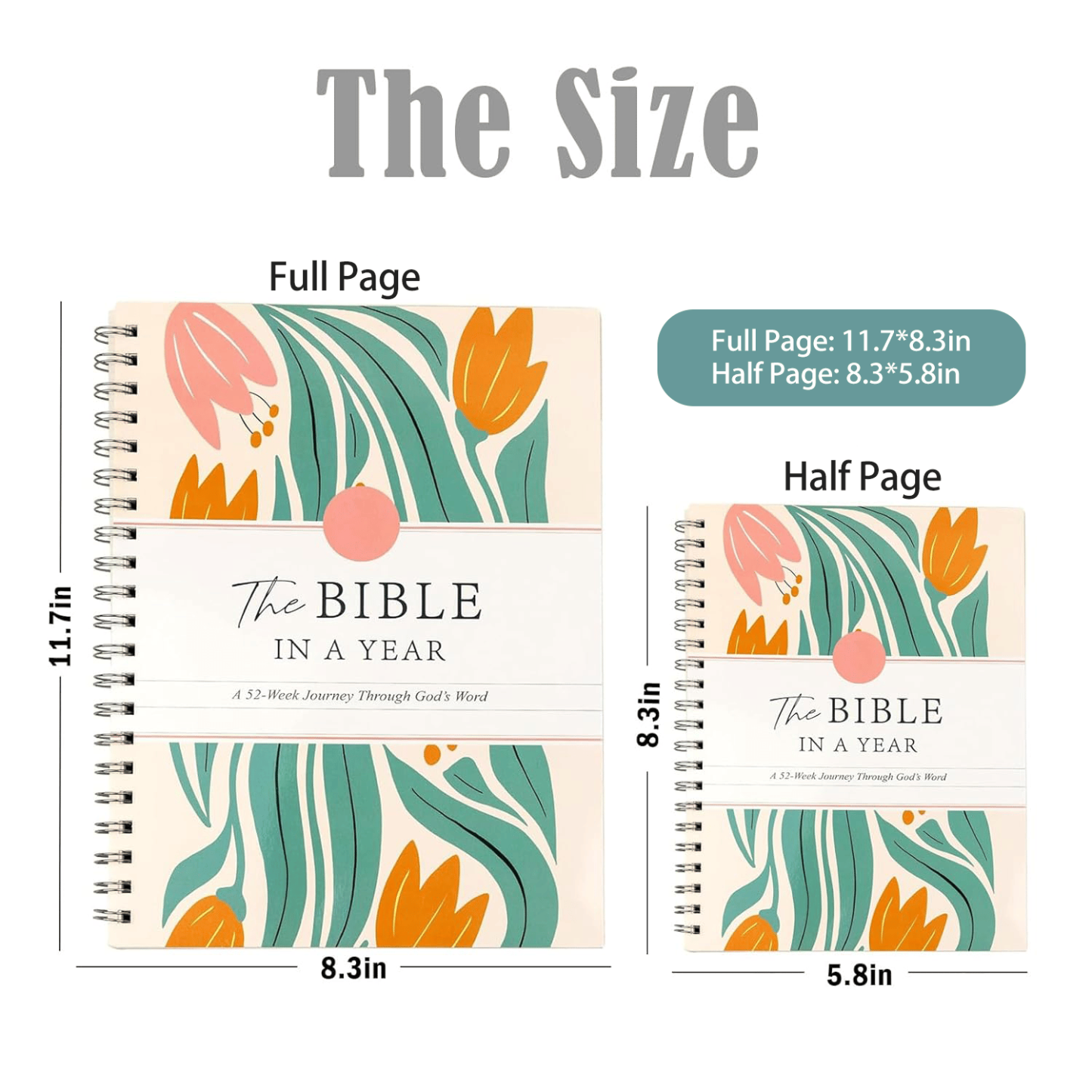 🔥LAST DAY 49% OFF -🙏🏼The Bible In A Year: A 52-Week Journey Through God's Word(✨Soft cover)