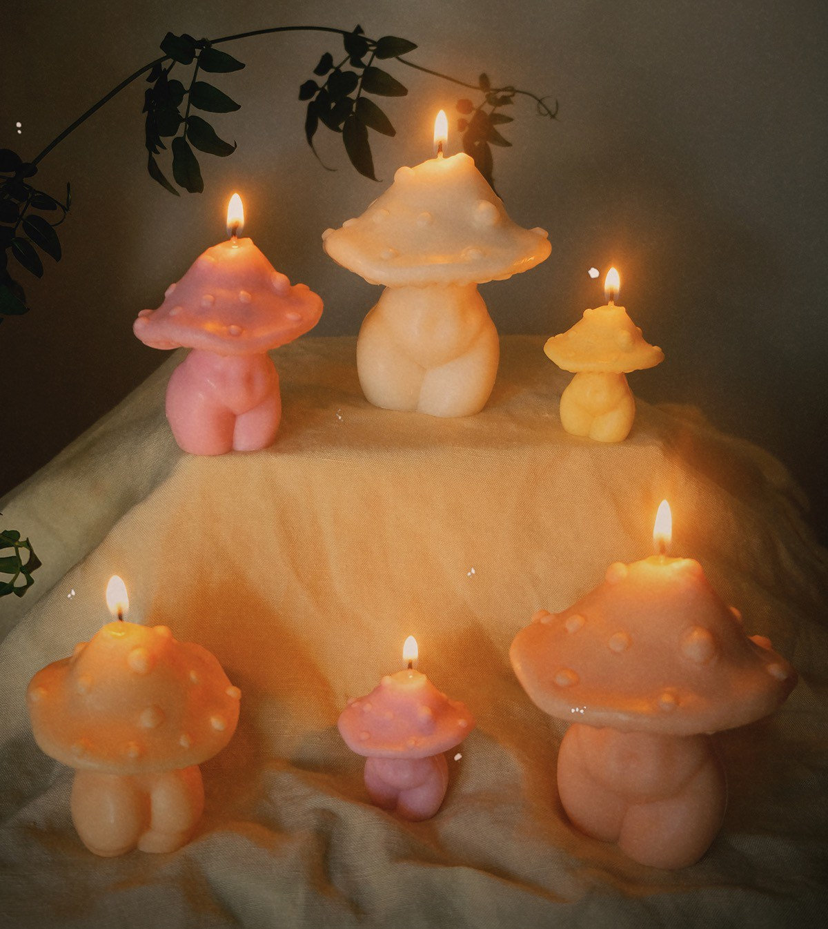 Mushroom Body Candle