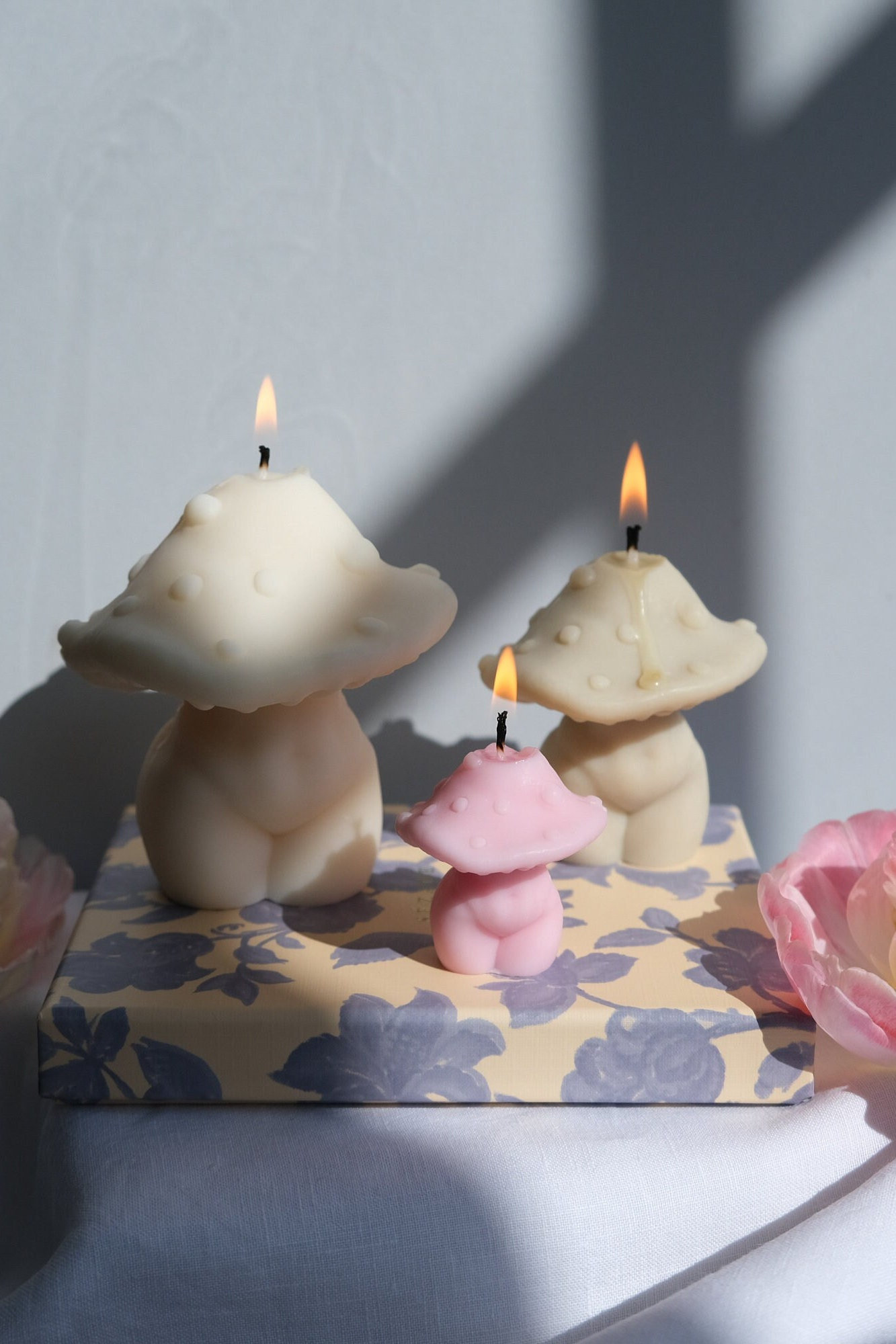 Mushroom Body Candle