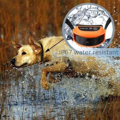 Smart Training Wireless Plus Electric Dog Fence