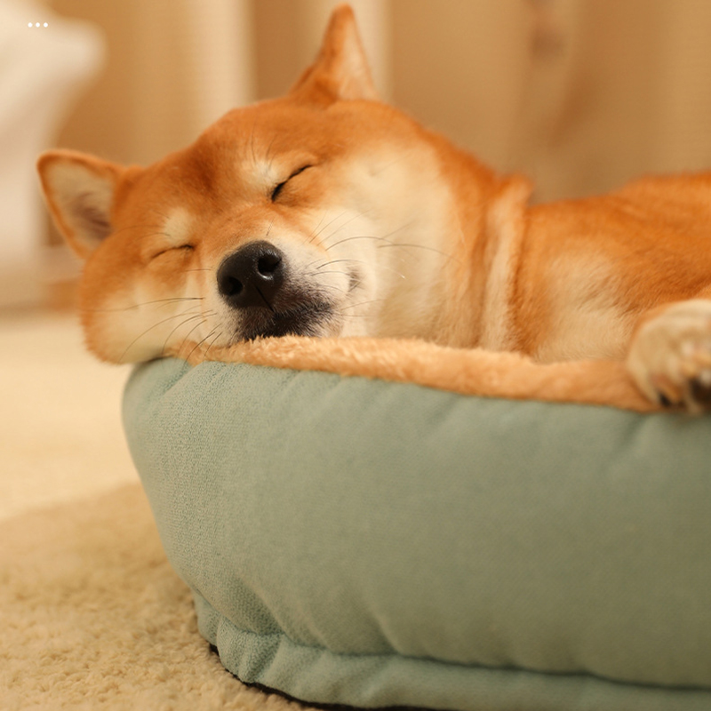 Dog Sofa Bed