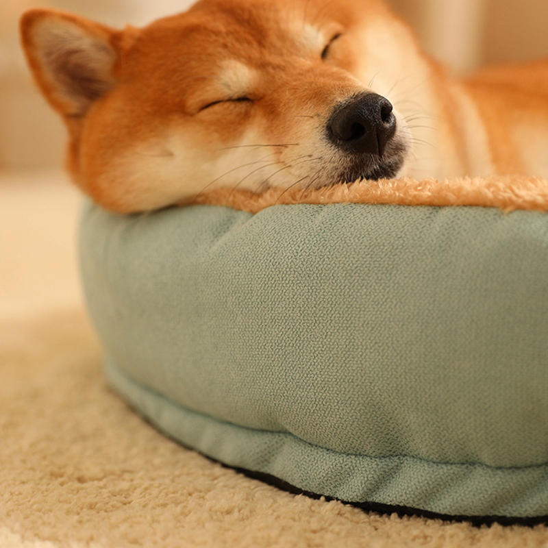 Dog Sofa Bed