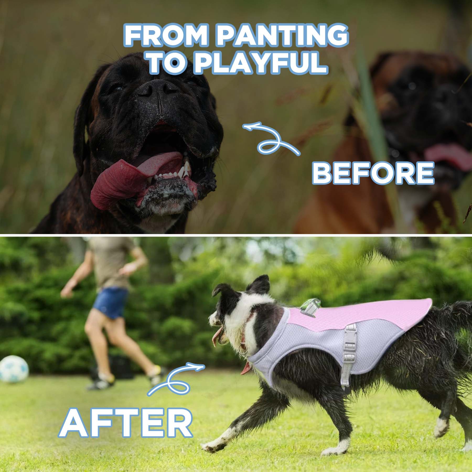 Gladdween™ Dog Cooling Vest