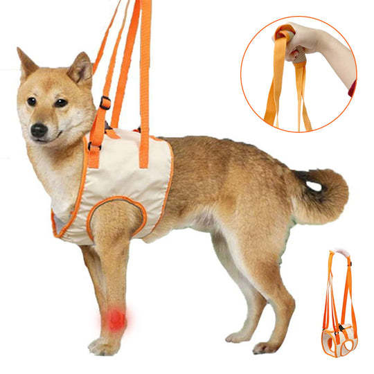 Dog Support Lift Harness for ACL Rehab & Arthritis-gladdween