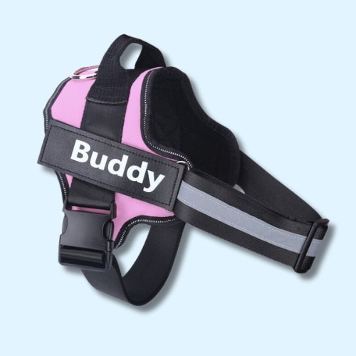 Personalised No Pull Dog Harness