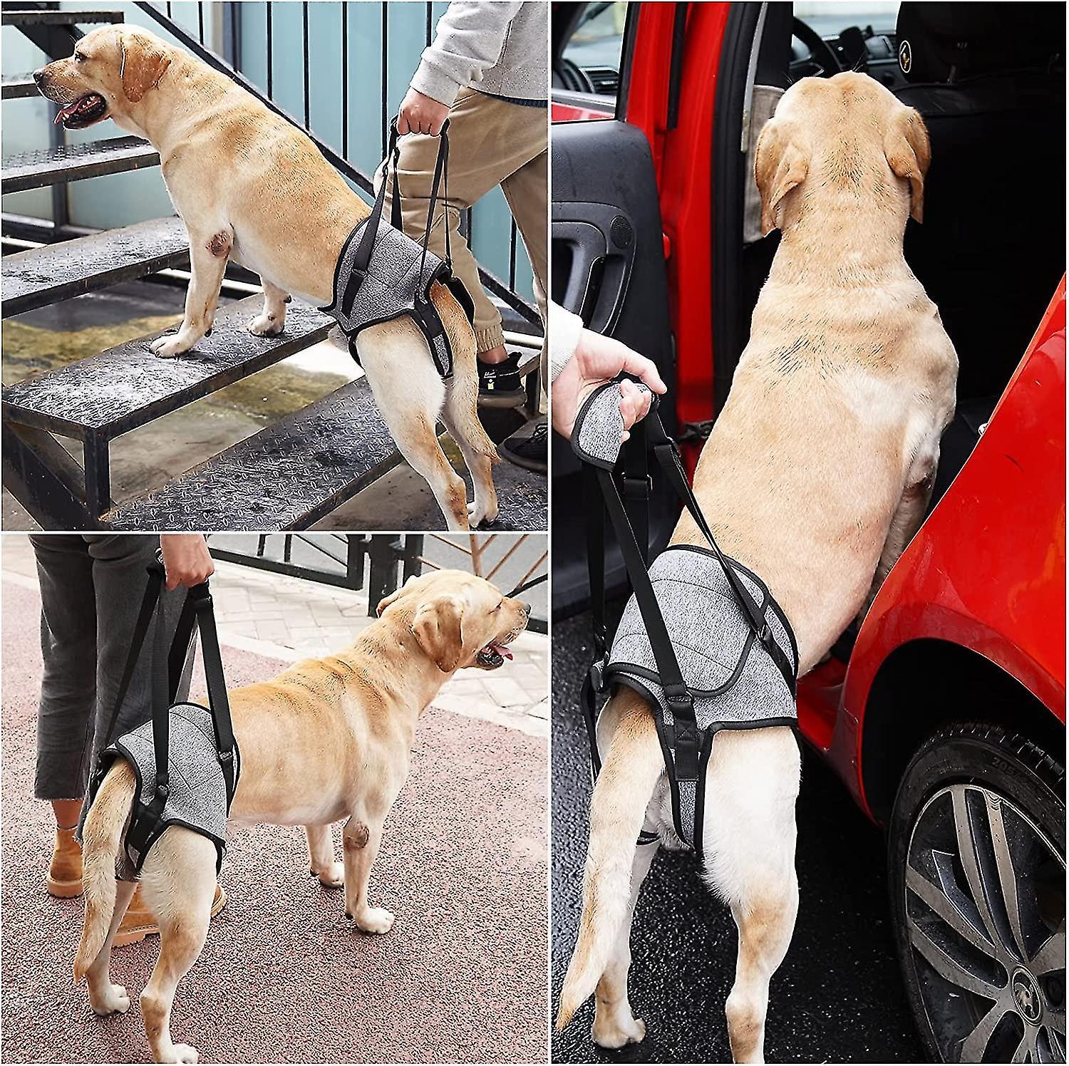 Adjustable Dog Back Legs Lift Harness