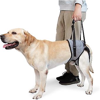 Adjustable Dog Back Legs Lift Harness