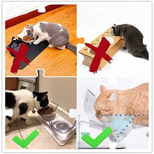 Orthopedic Cat Bowl-gladdween