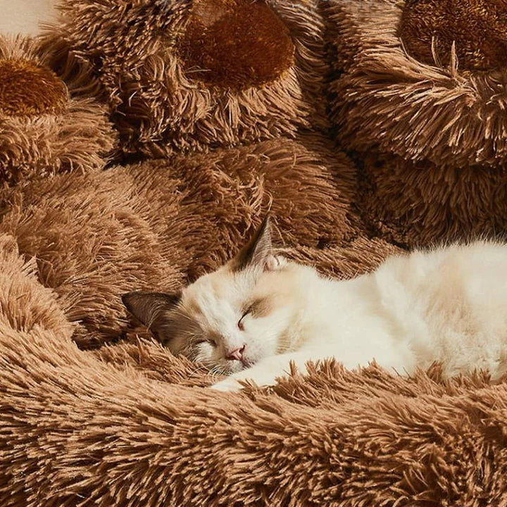 Calming Bear Paw Bed for Pets-gladdween