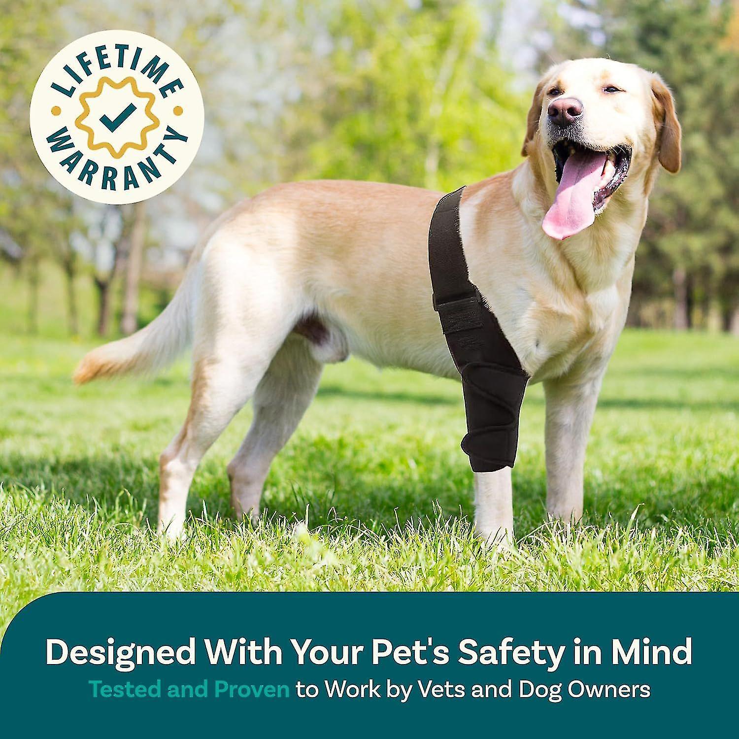 Dog Hip Knee Brace for Torn ACL