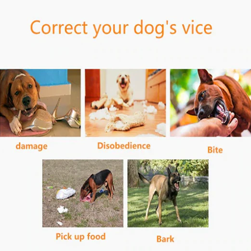 Dog Training Collar-gladdween