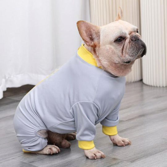 Post-Surgery Care for Dogs: Professional Shirt to Protect Abdominal Wounds  Prevent Licking-gladdween