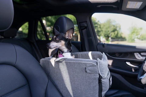 Portable Pet Car Seat