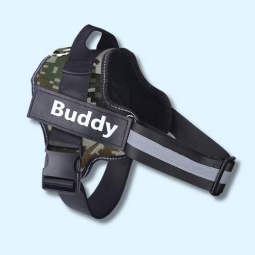 Personalised No Pull Dog Harness