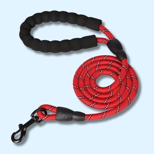 Dog Lead