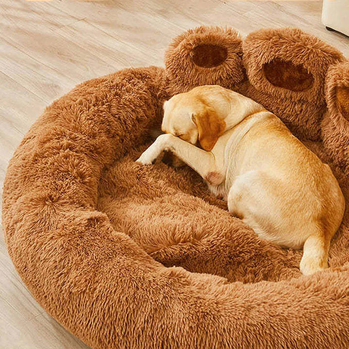 Calming Bear Paw Bed for Pets-gladdween