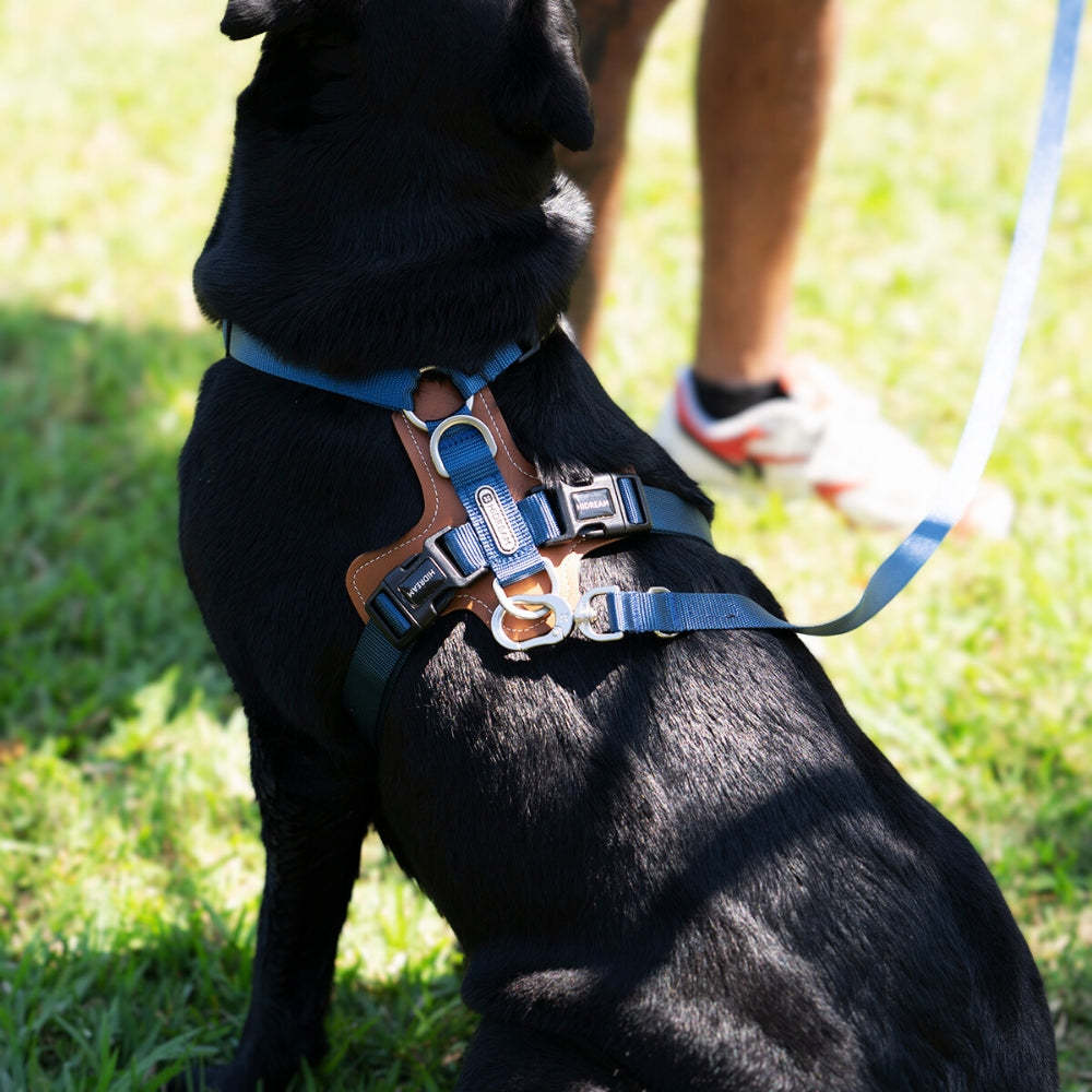 HiDream | Easy Walk Dog Harness