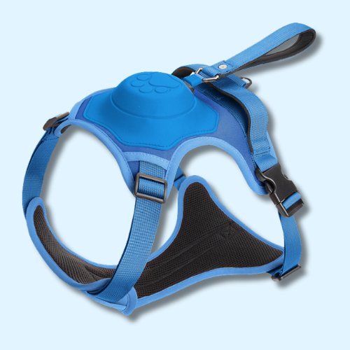 Dog Harness With Inbuilt Leash