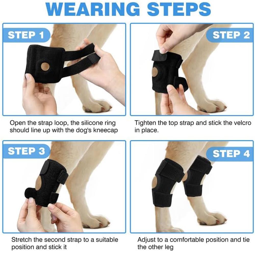 Dog Knee Brace Suitable for Recovery of Loss of Stability Caused by Arthritis