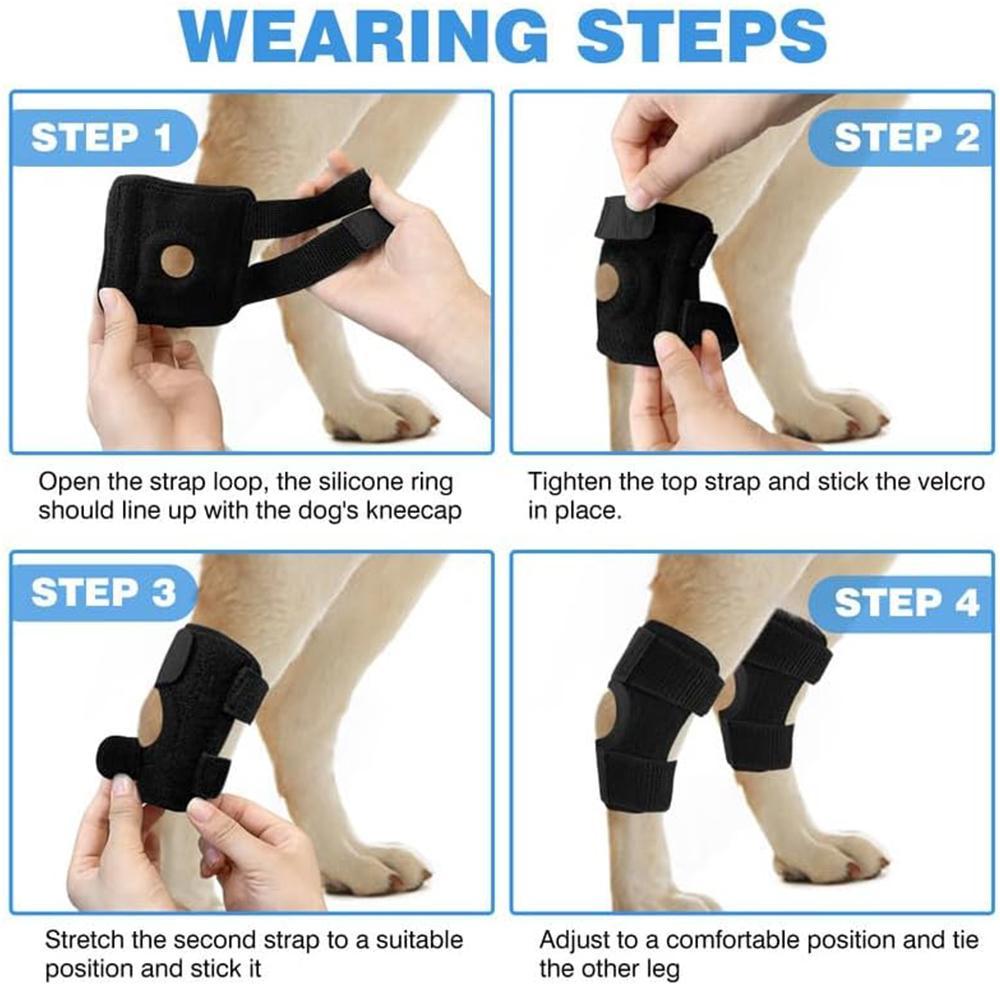Dog Knee Brace Suitable for Recovery of Loss of Stability Caused by Arthritis