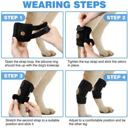 Dog Knee Brace Suitable for Recovery of Loss of Stability Caused by Arthritis