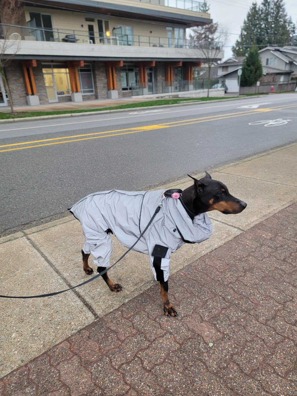 Reflective All-weather Waterproof Space Coat Dog Rain Coat
