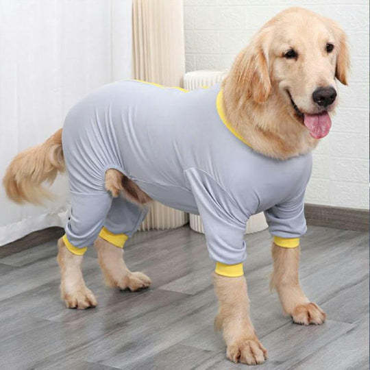 Post-Surgery Care for Dogs: Professional Shirt to Protect Abdominal Wounds  Prevent Licking-gladdween