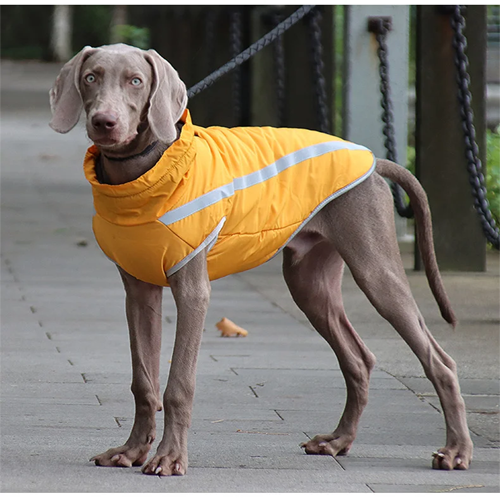 Waterproof Dog Coat Winter Warm Jacket-gladdween