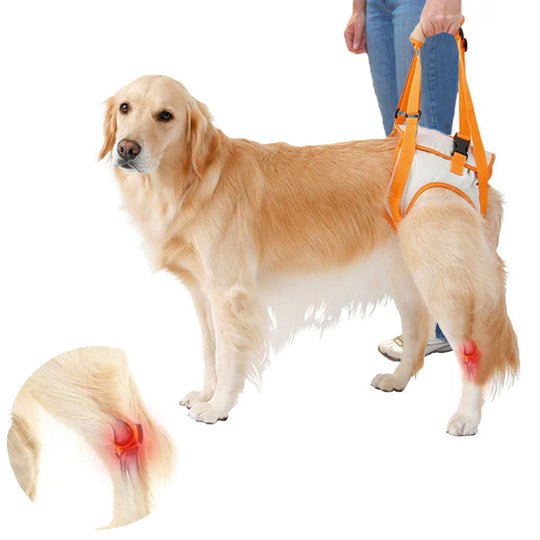 Dog Support Lift Harness for ACL Rehab & Arthritis-gladdween