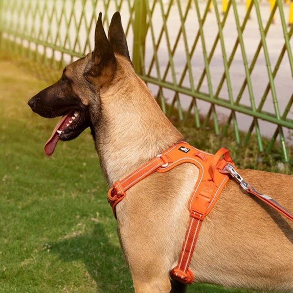 No Pull Dog Harness Adjustable Dog Harness Vest-gladdween