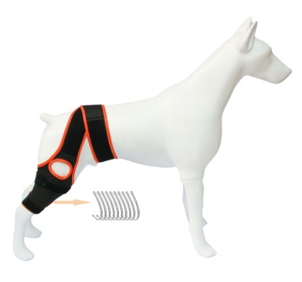 Dog Hip Knee Brace for Torn ACL
