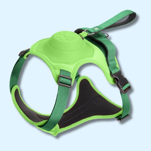 Dog Harness With Inbuilt Leash