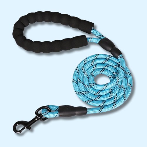 Dog Lead