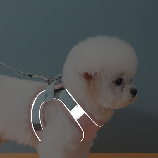 Escape-proof Cat Harness and Leash for Walking-gladdween