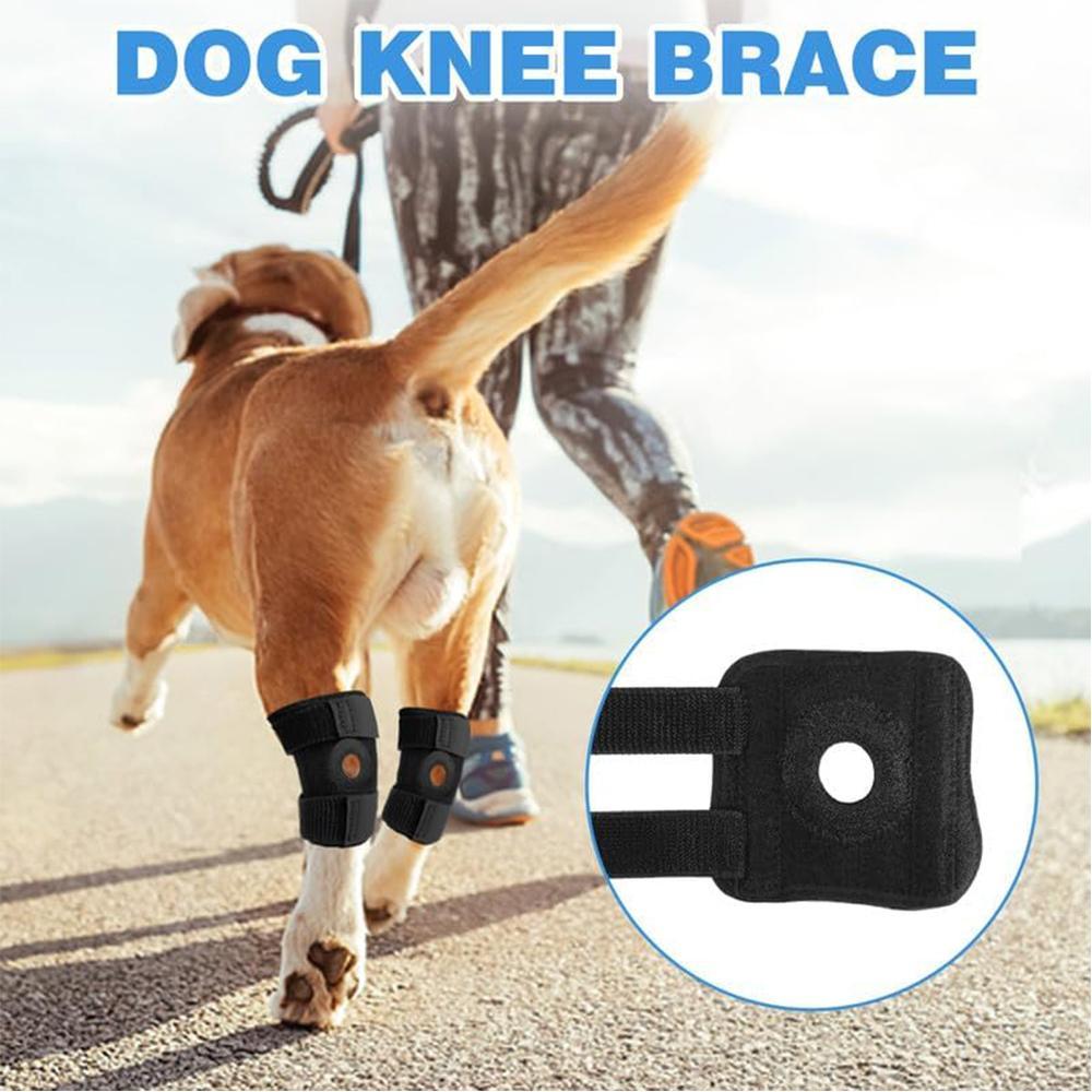 Dog Knee Brace Suitable for Recovery of Loss of Stability Caused by Arthritis