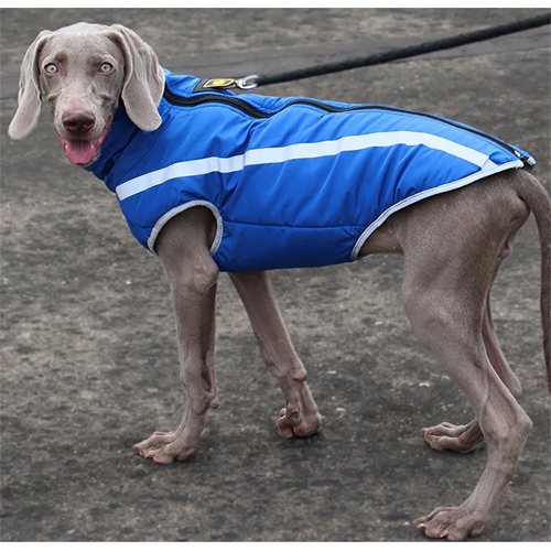 Waterproof Dog Coat Winter Warm Jacket-gladdween