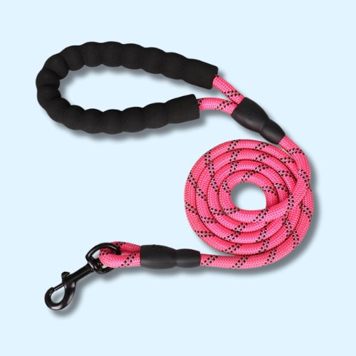 Dog Lead