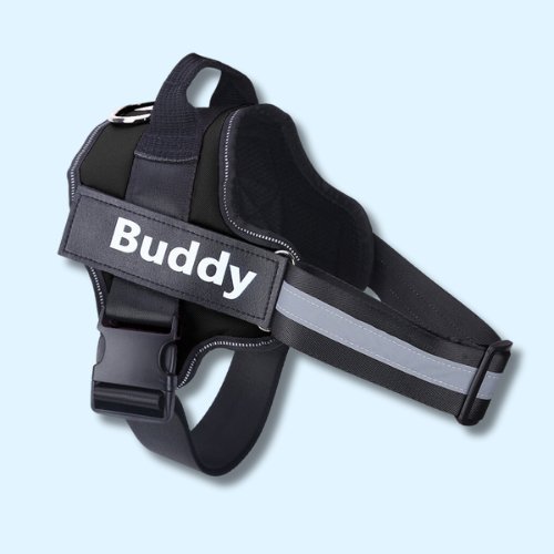 Personalised No Pull Dog Harness