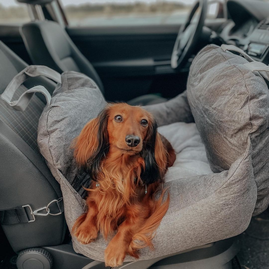 Travel Dog Car Seat Bed - Gymbag Water-Resistant-gladdween